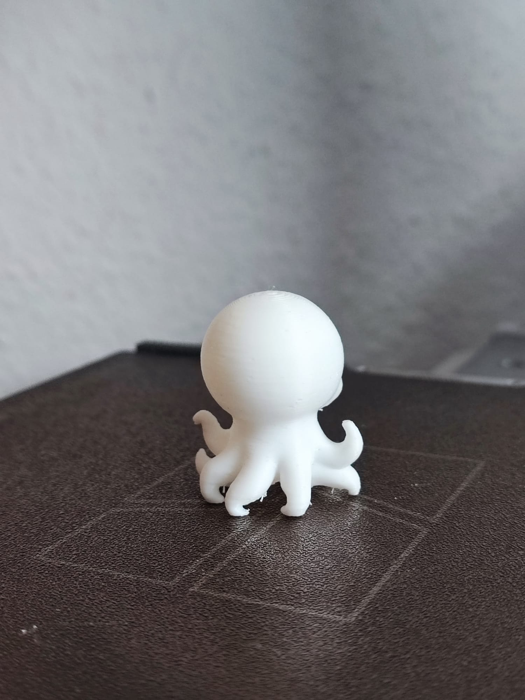 cute octopus