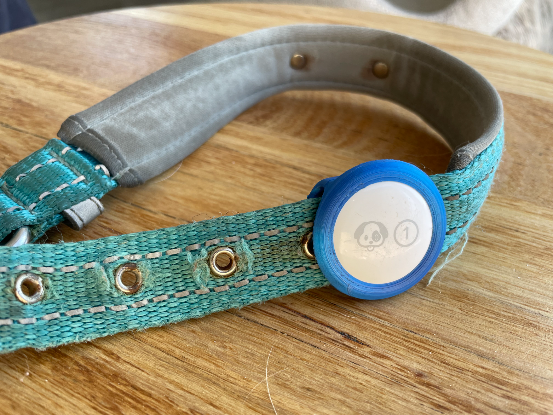 Dog Collar AirTag Holder