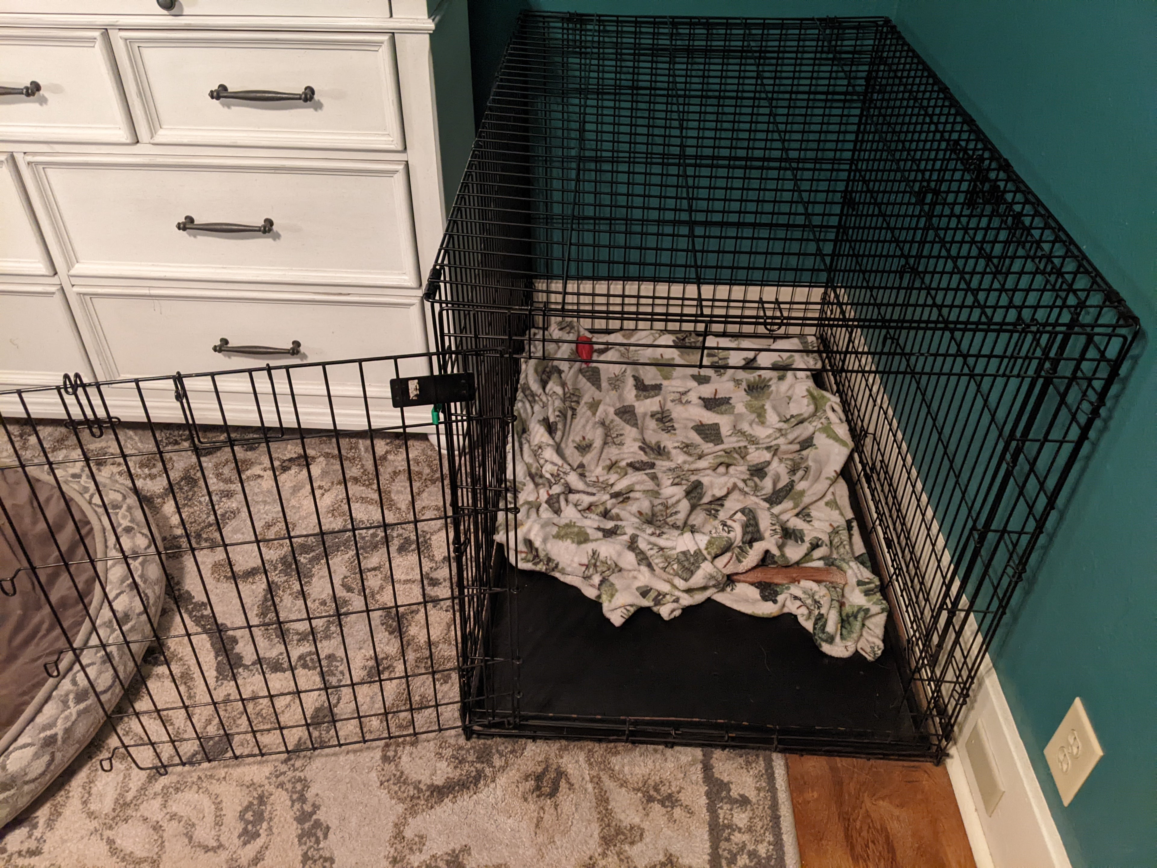 Top Paw Dog Crate Door Latch
