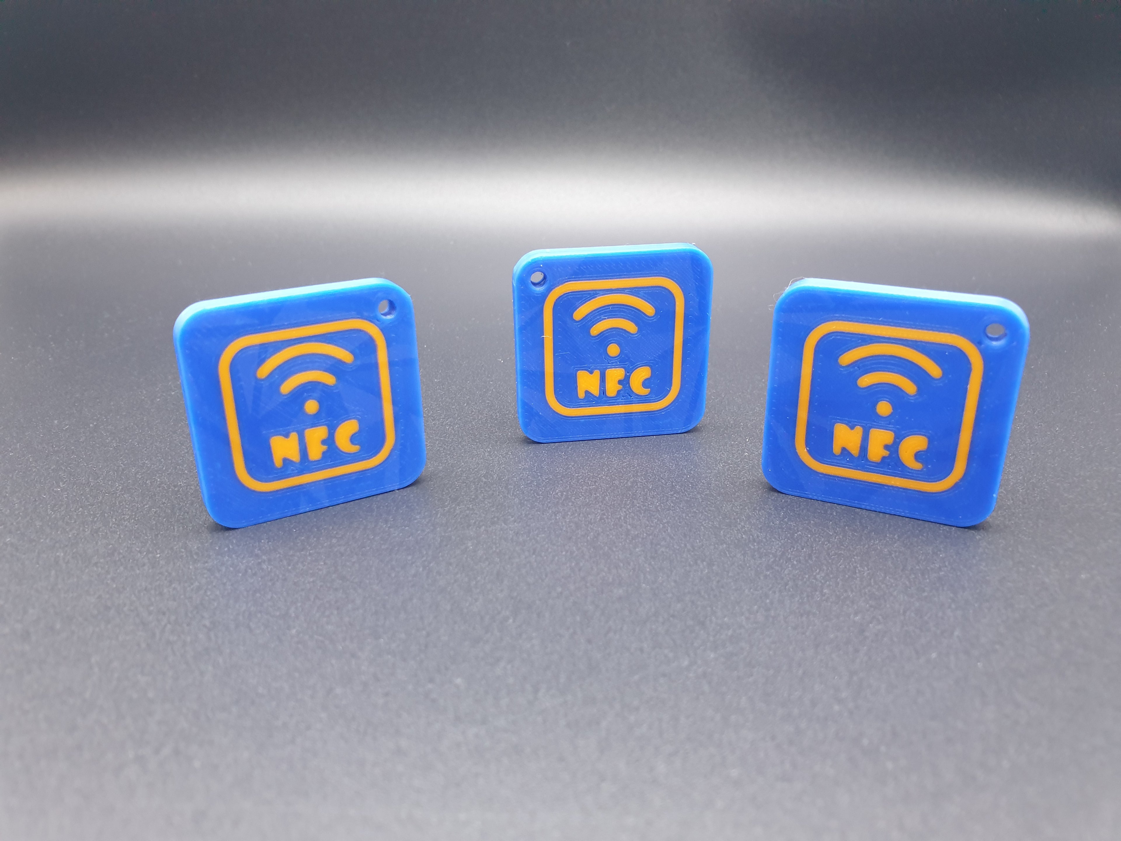 NFC Tag Keychain