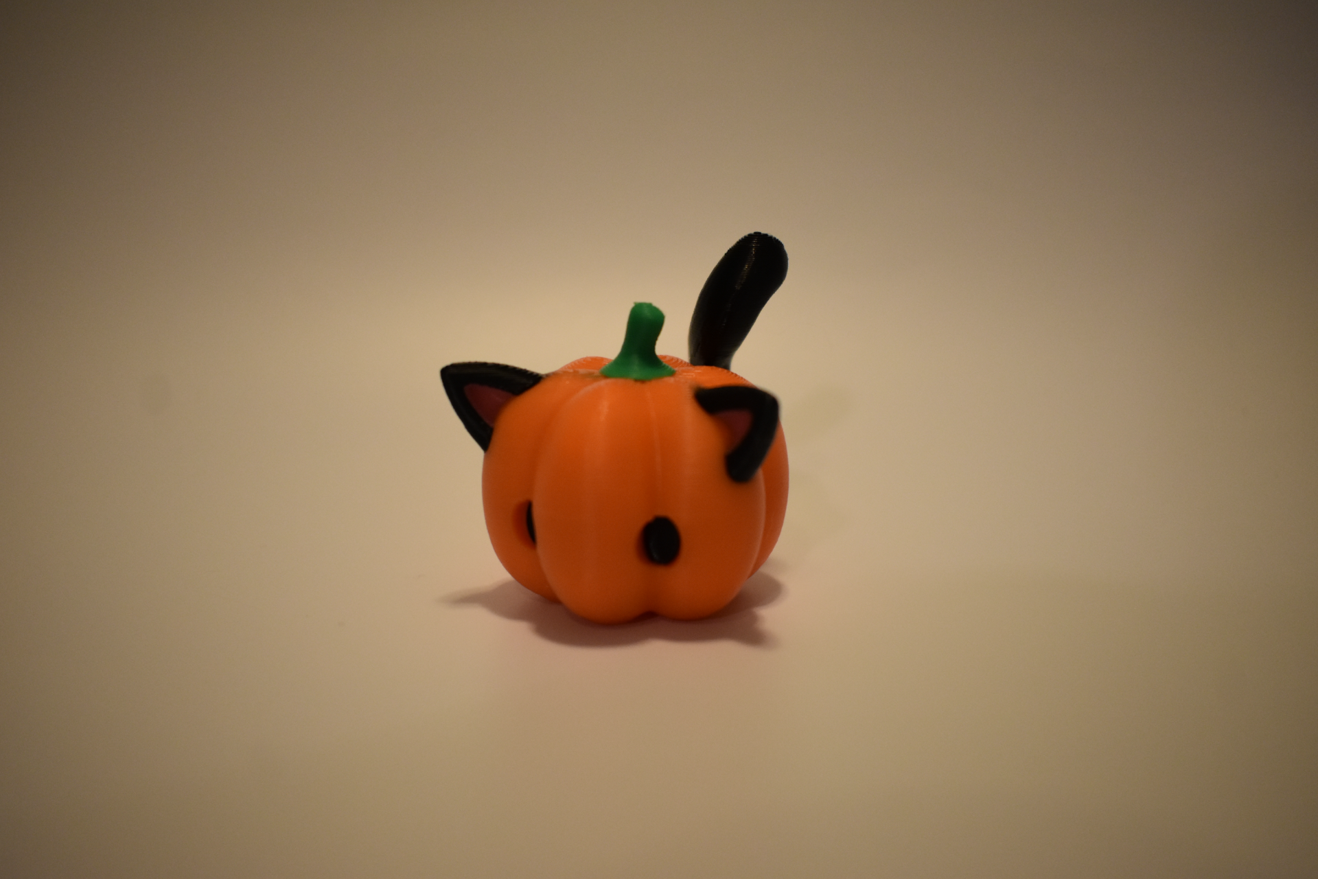 Pumpkitty and Pumpkin Pup! (Cute Pumpkin Cat & Dog)