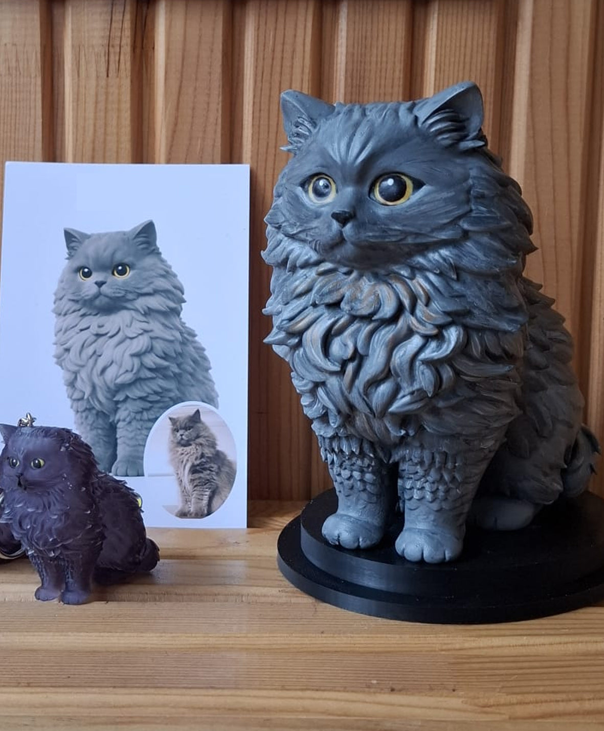 hairy cat