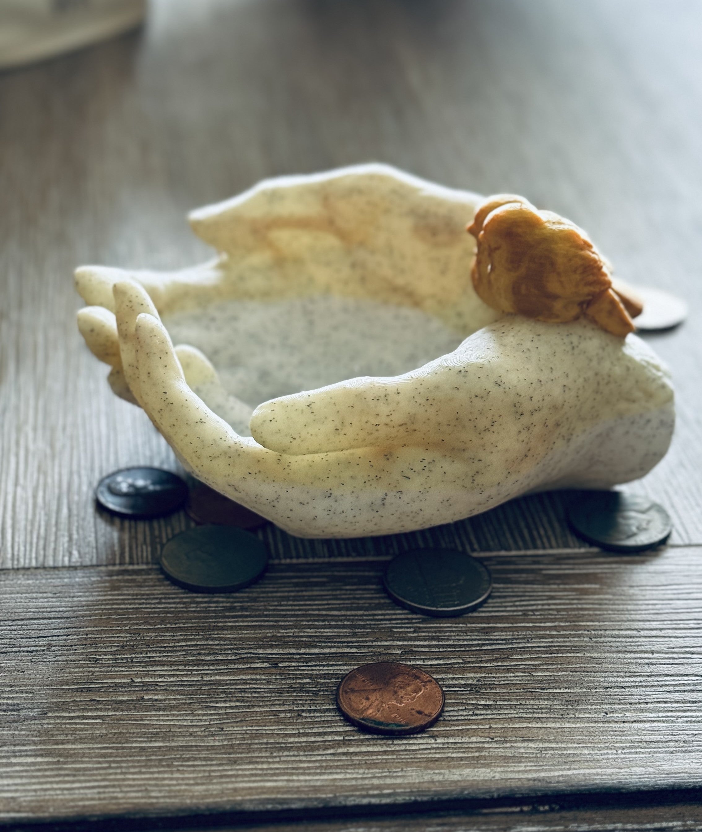 Cupped hands with birds on wrist holder