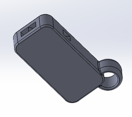 whistle keychain