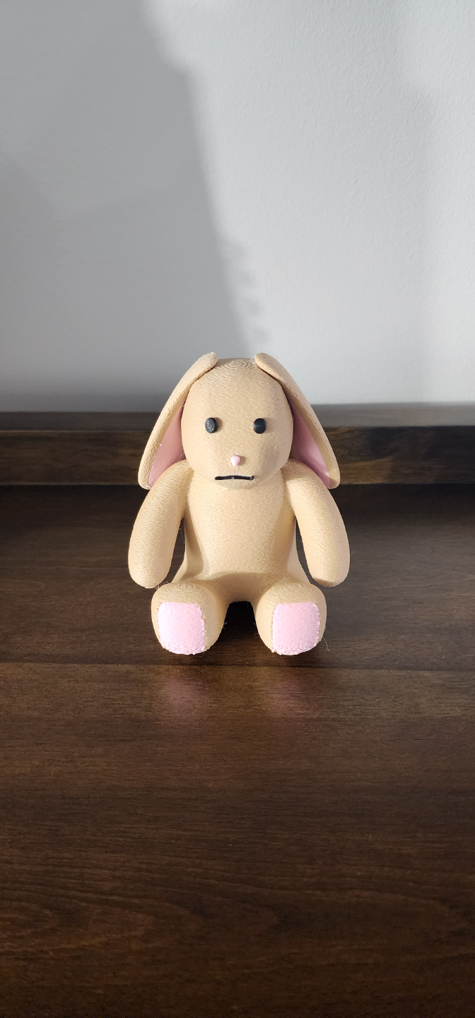 Cute Fuzzy Bunny