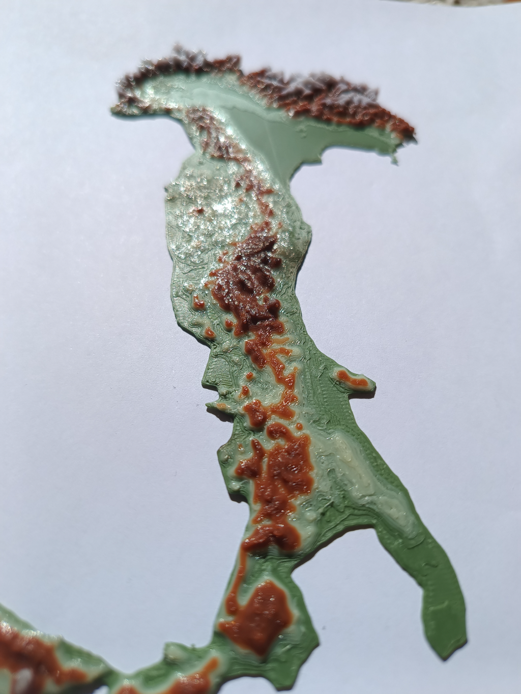 Terrain Map - Colored - Italy