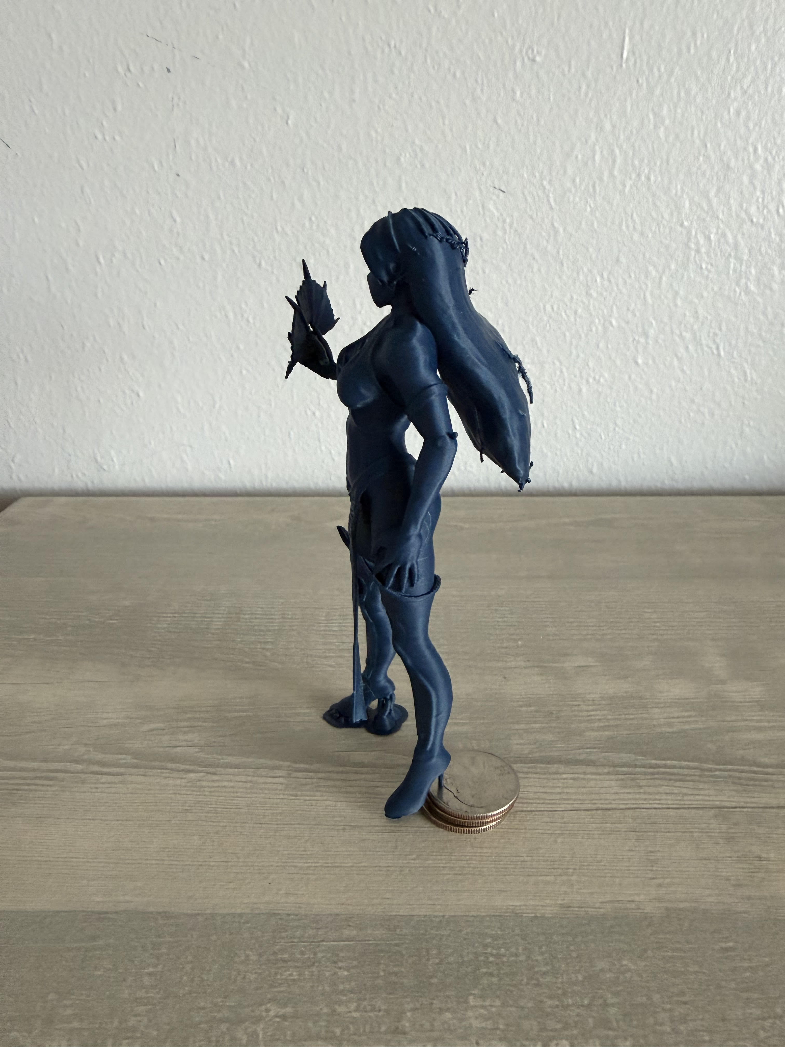 Blue Ninja Lady