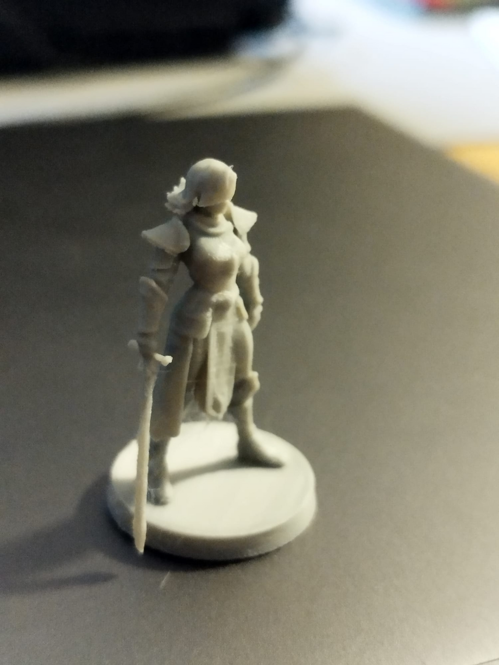 DnD Paladin Female 28mm
