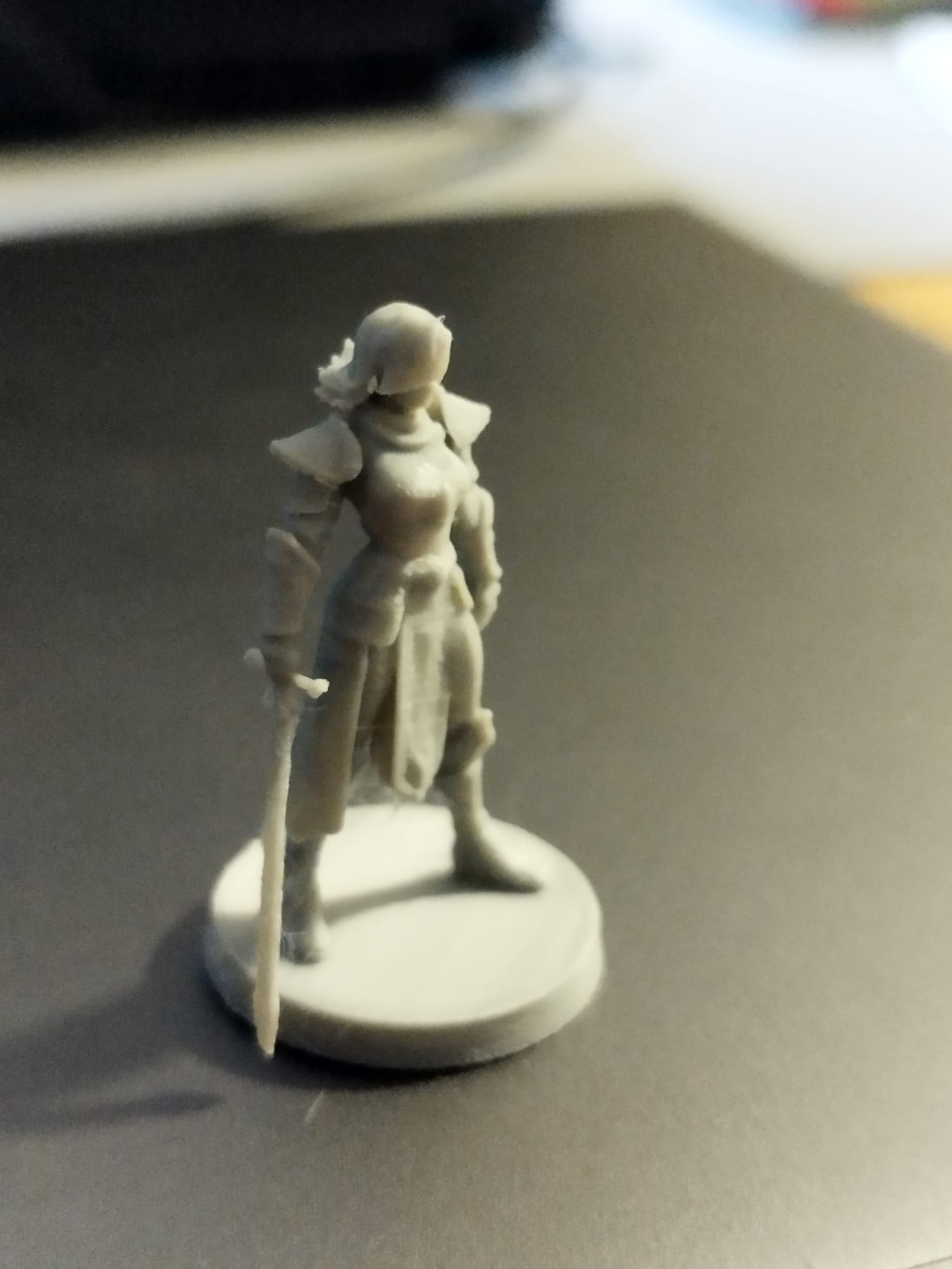 DnD Paladin Female 28mm