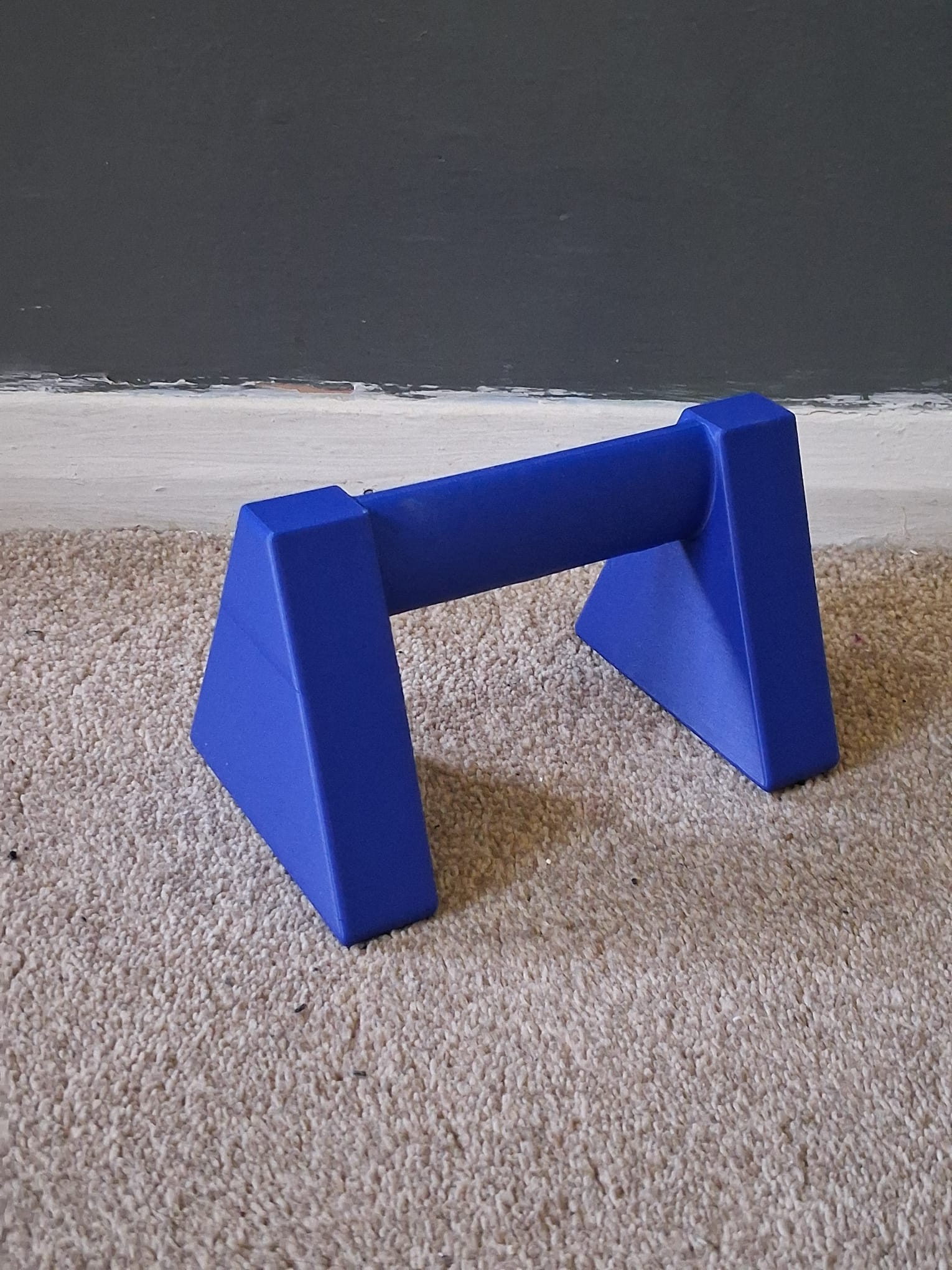 Push up bars Home gym