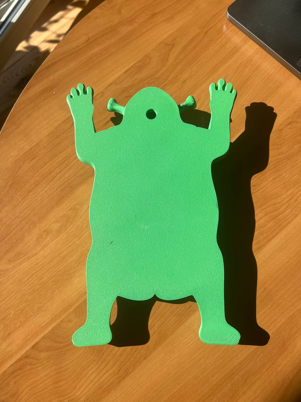 Shrek mirror