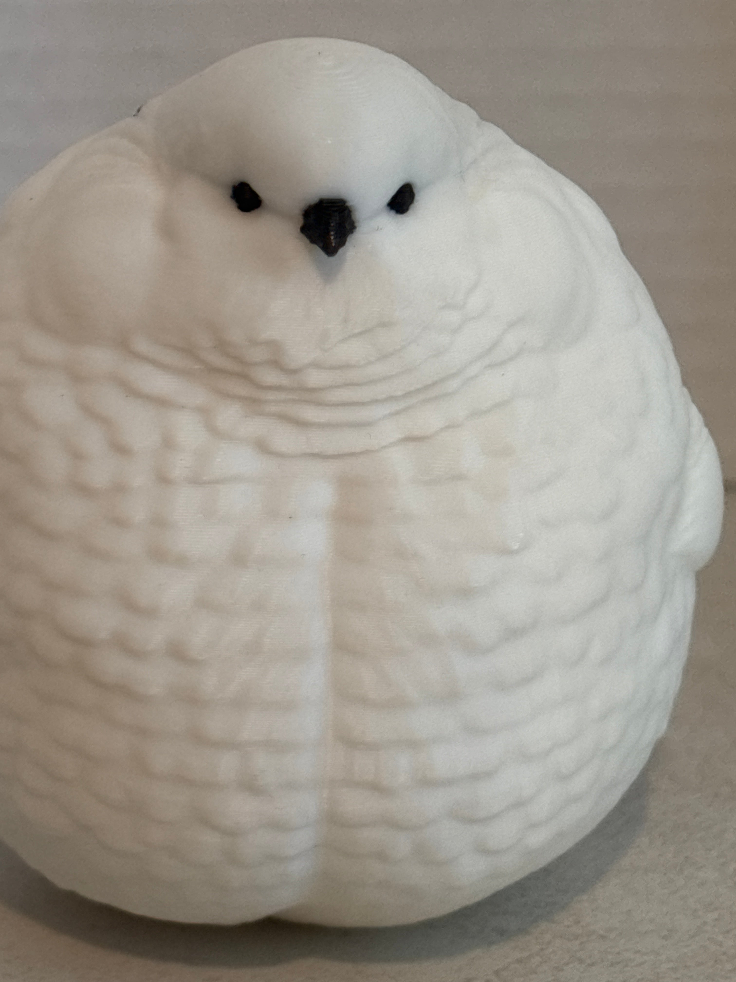 FAT Bird