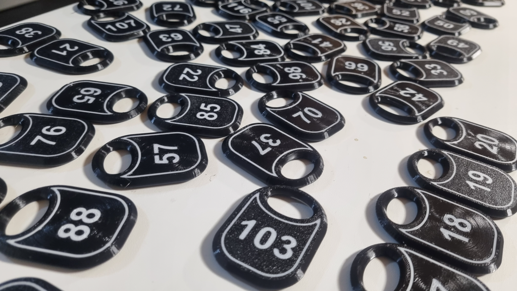 Token (number plate) for the cloakroom.