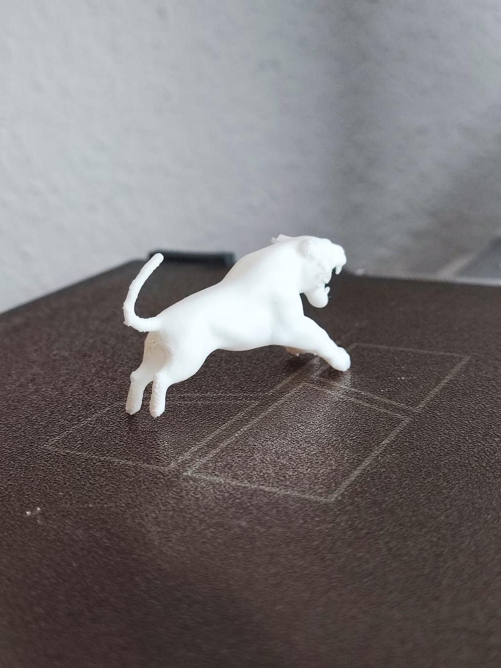 tiger