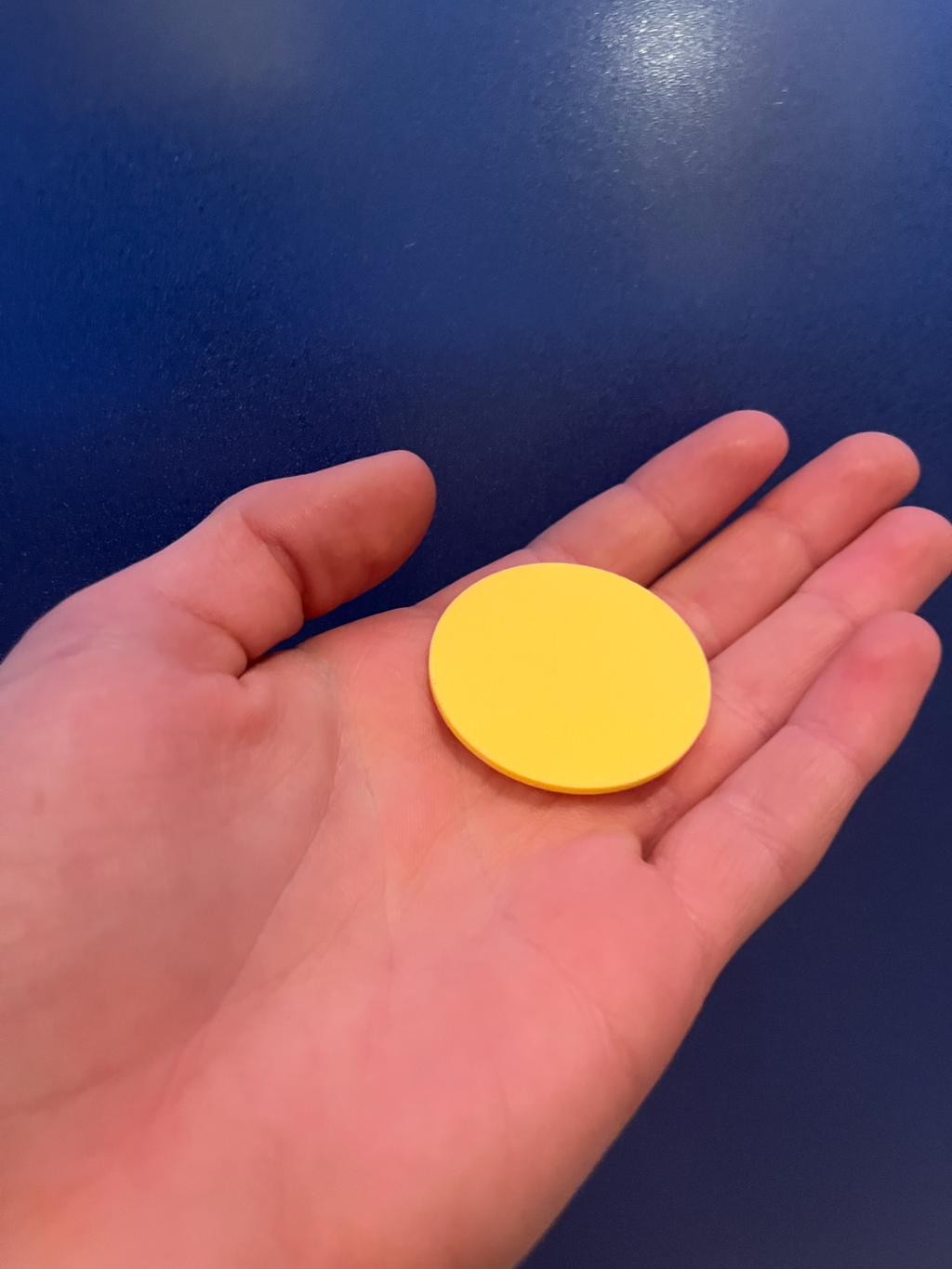 Disk