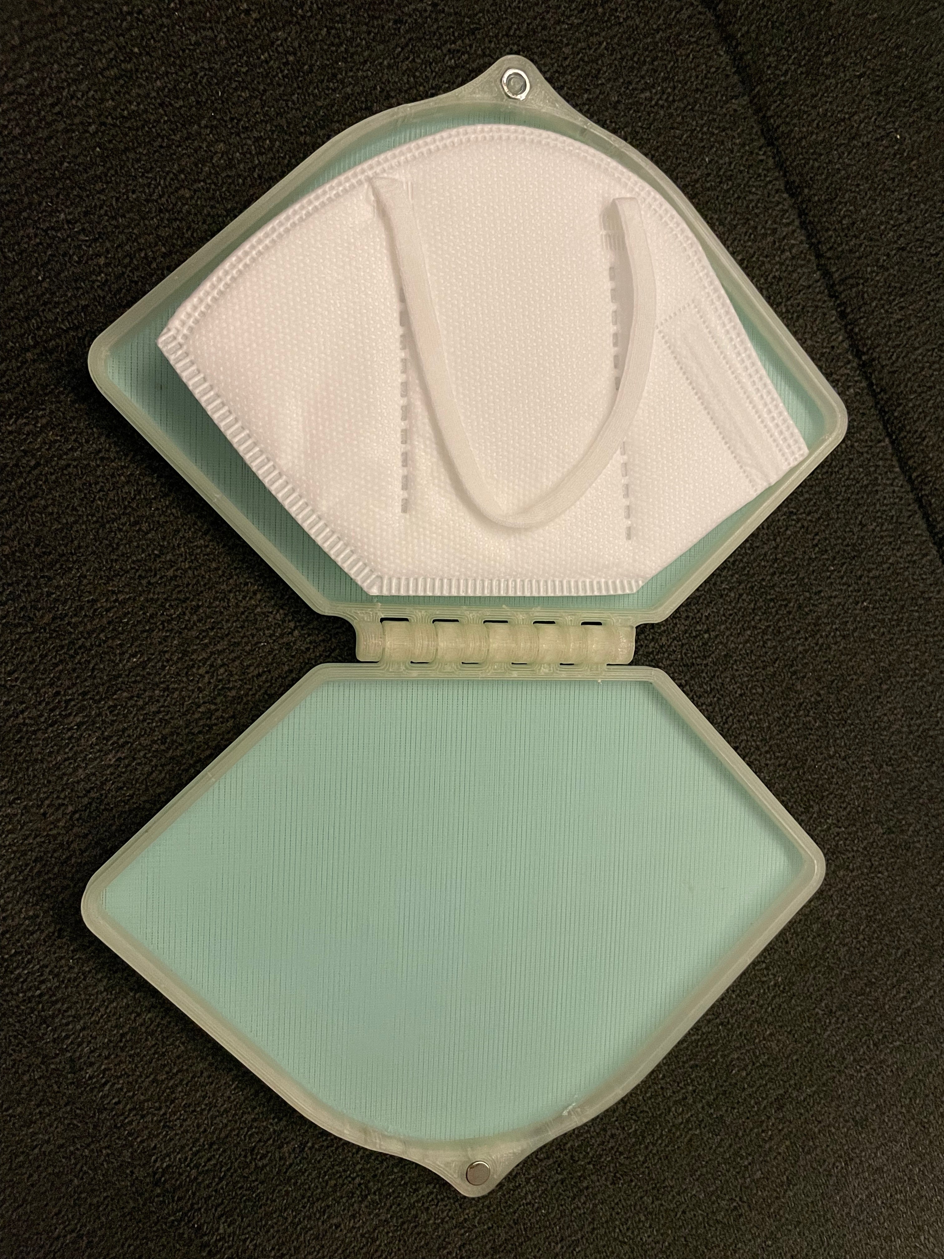 Travel cover for face mask