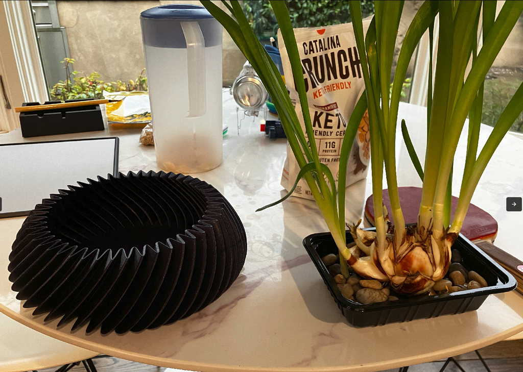 Daffodil pot 水仙花盆