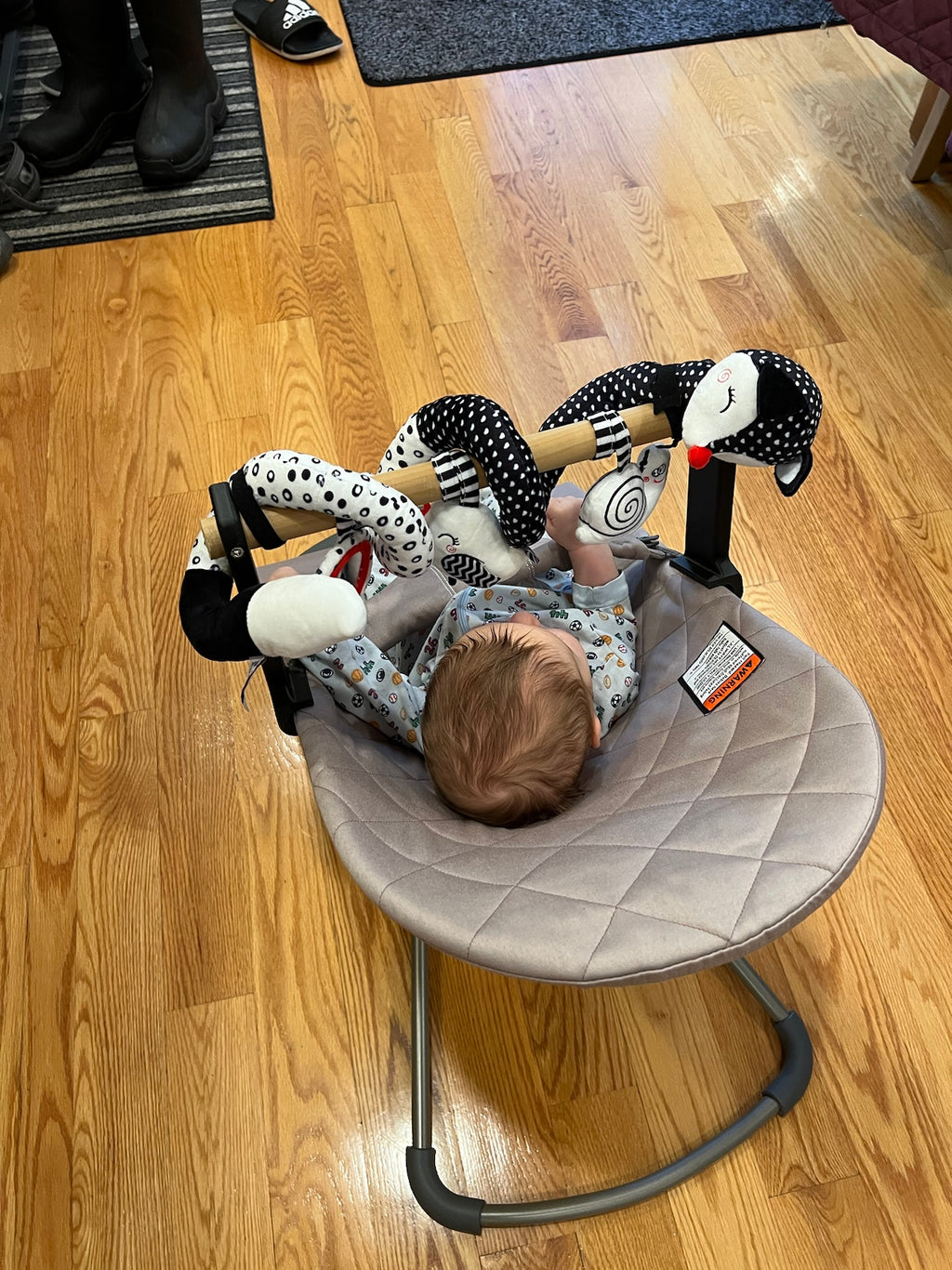 BabyBjorn Bouncer Bar: For hanging baby toys