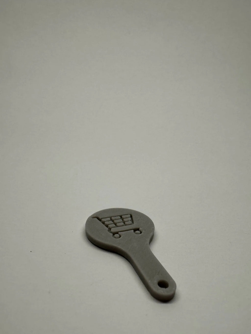 Shopping cart coin
