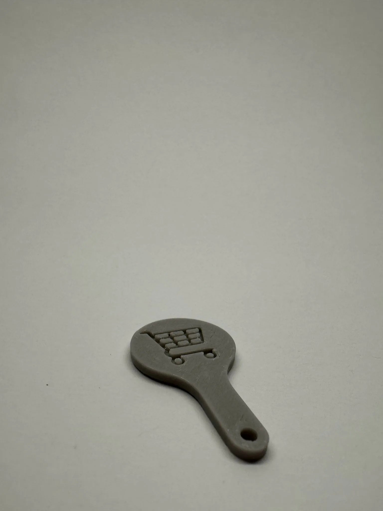 Shopping cart coin