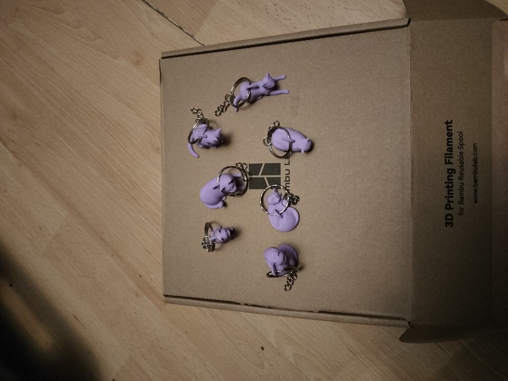 Assorted cat keyrings