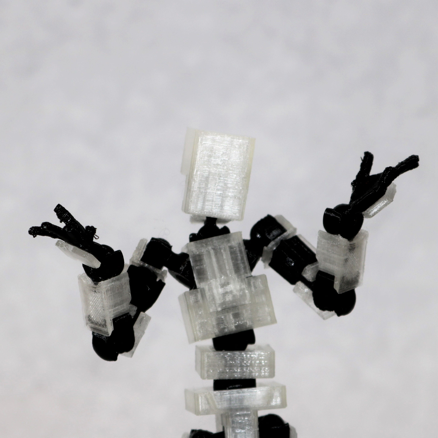 LUCKY 13 Printable Jointed Figure