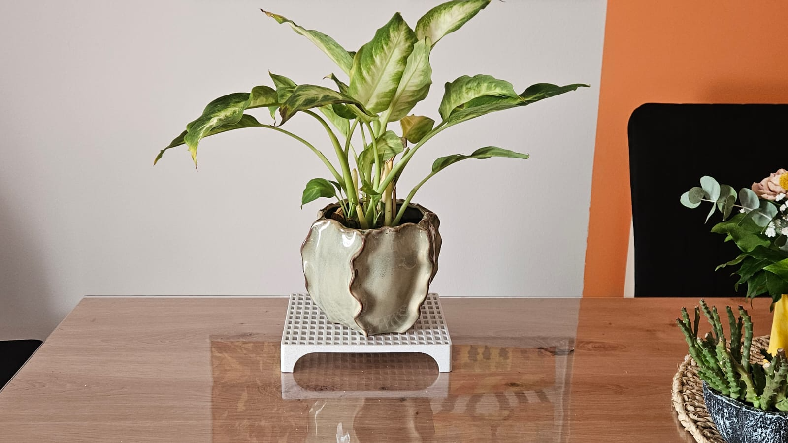 Lattice holder for soap or plants
