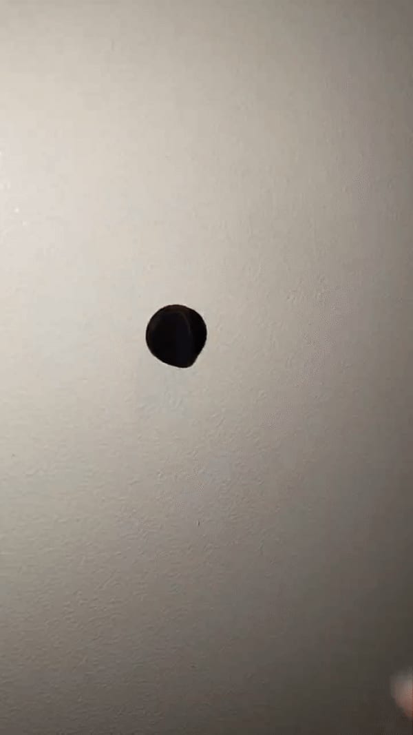 Magnetic pins