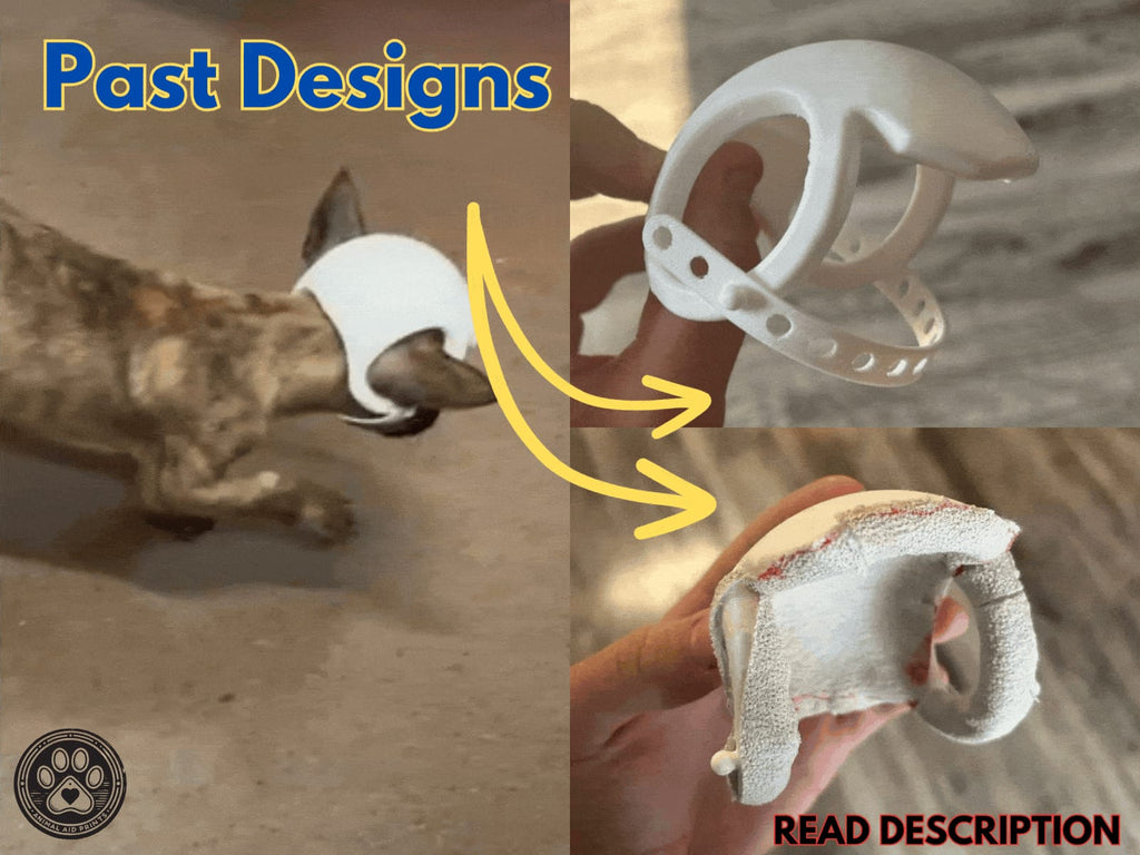 Dog Helmet - Getting Adoption Family a 3D Printer