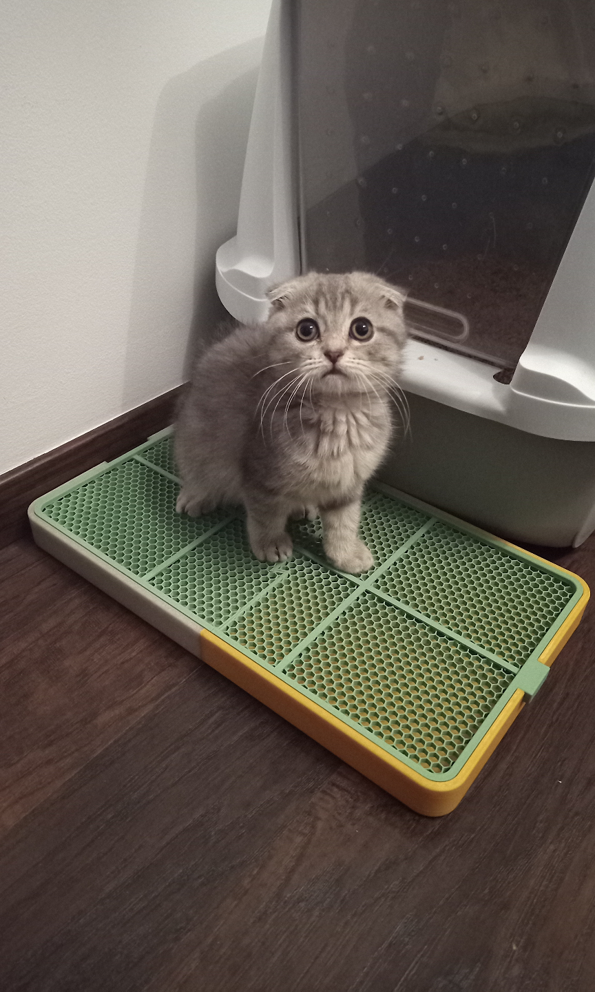 Cat Litter Mat with Tray
