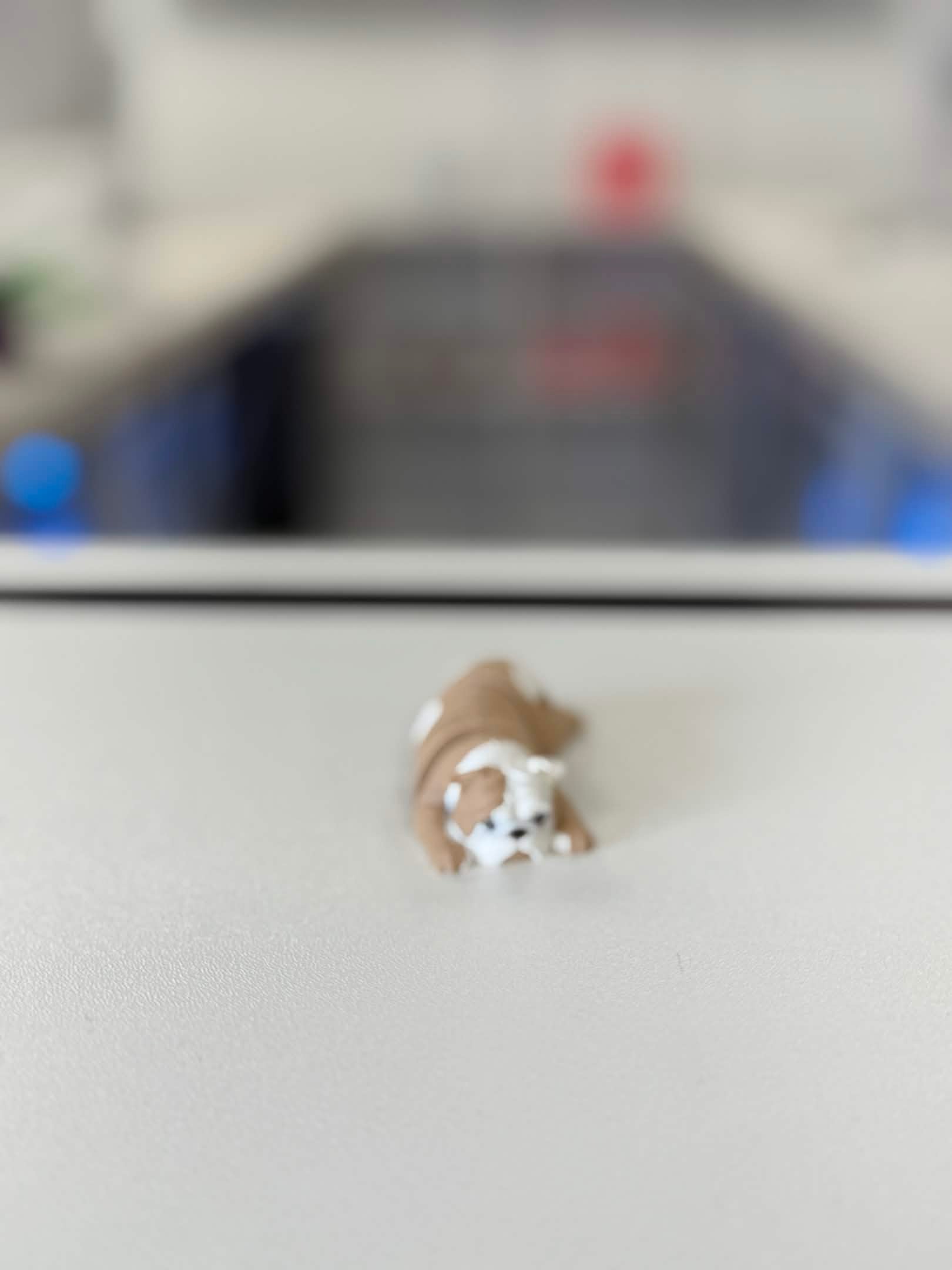 Bulldog Flexi Keychain (AMS)