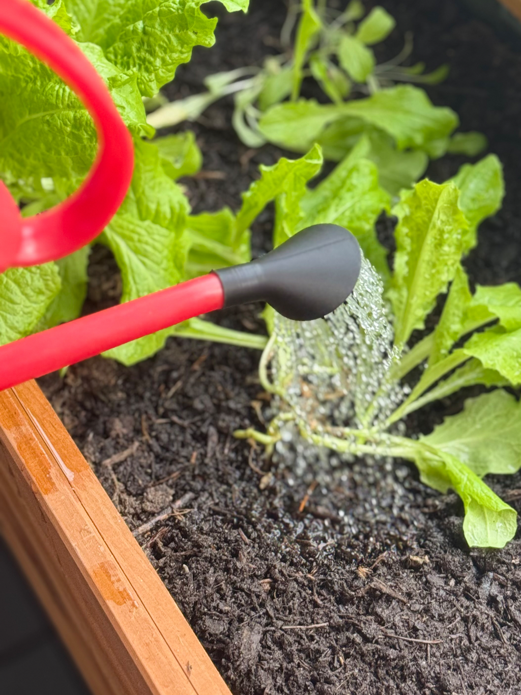 Small Watering Can - Spout (14,5mm)