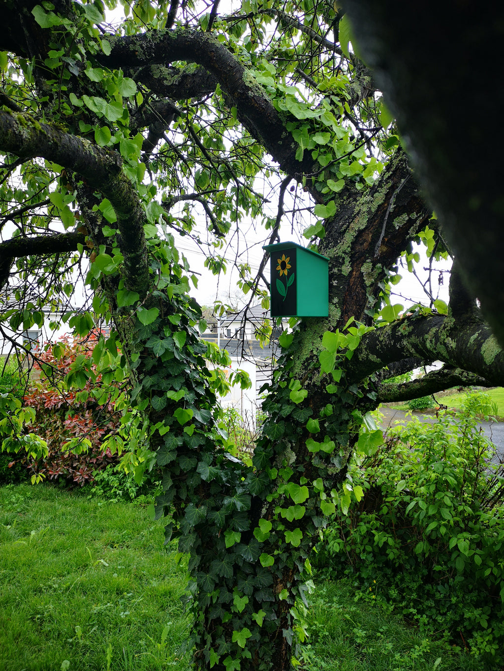 Specific birdhouses for tits and redstarts