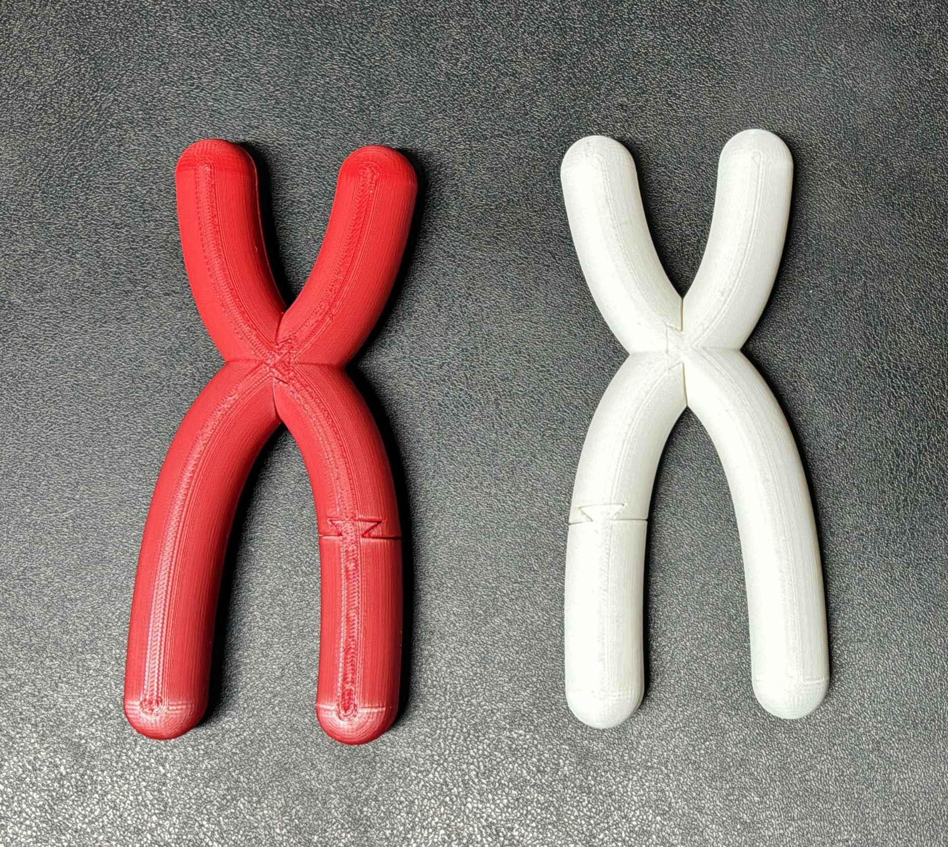 Chromosome