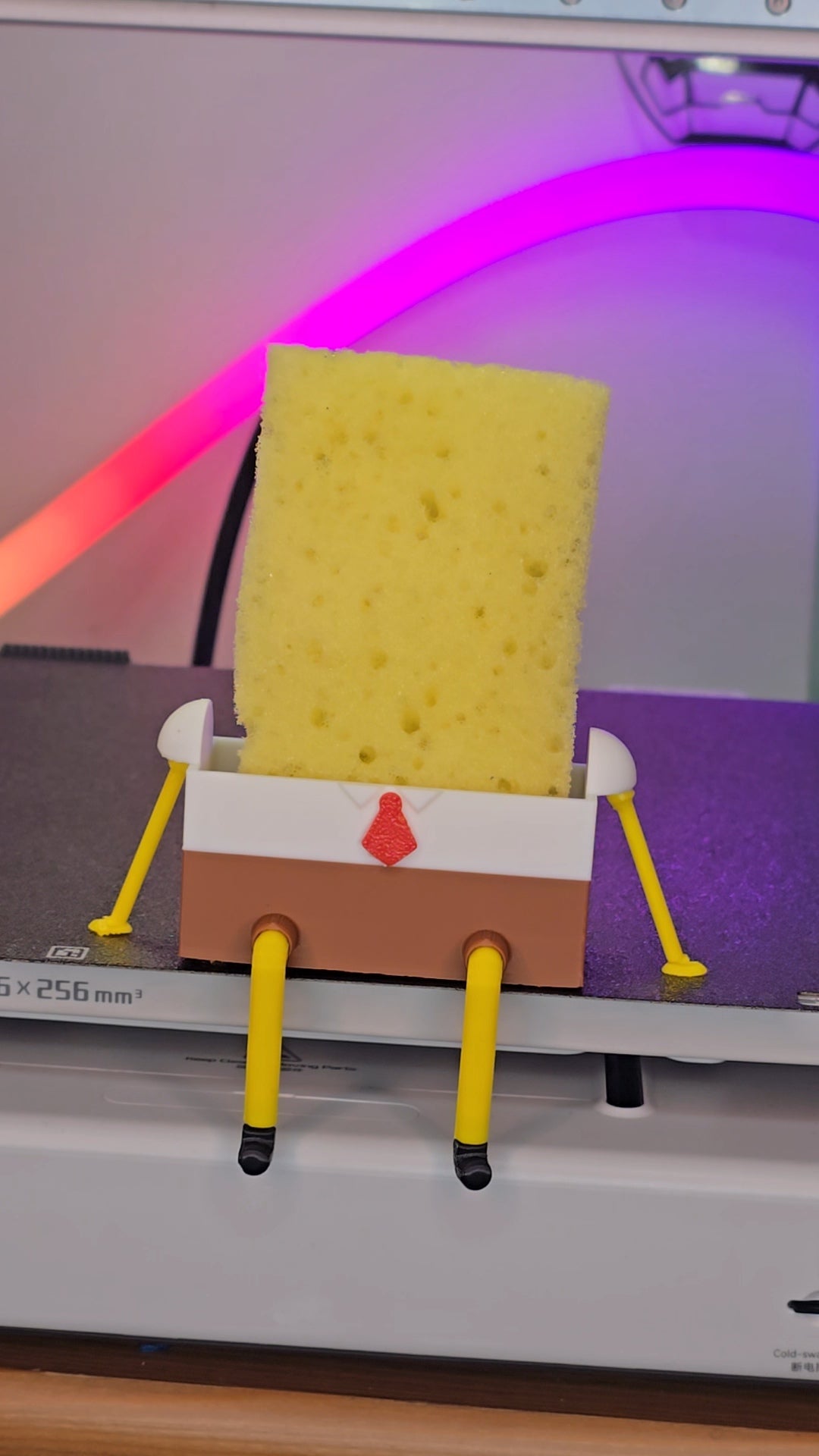 Sponge Bob porta spugna