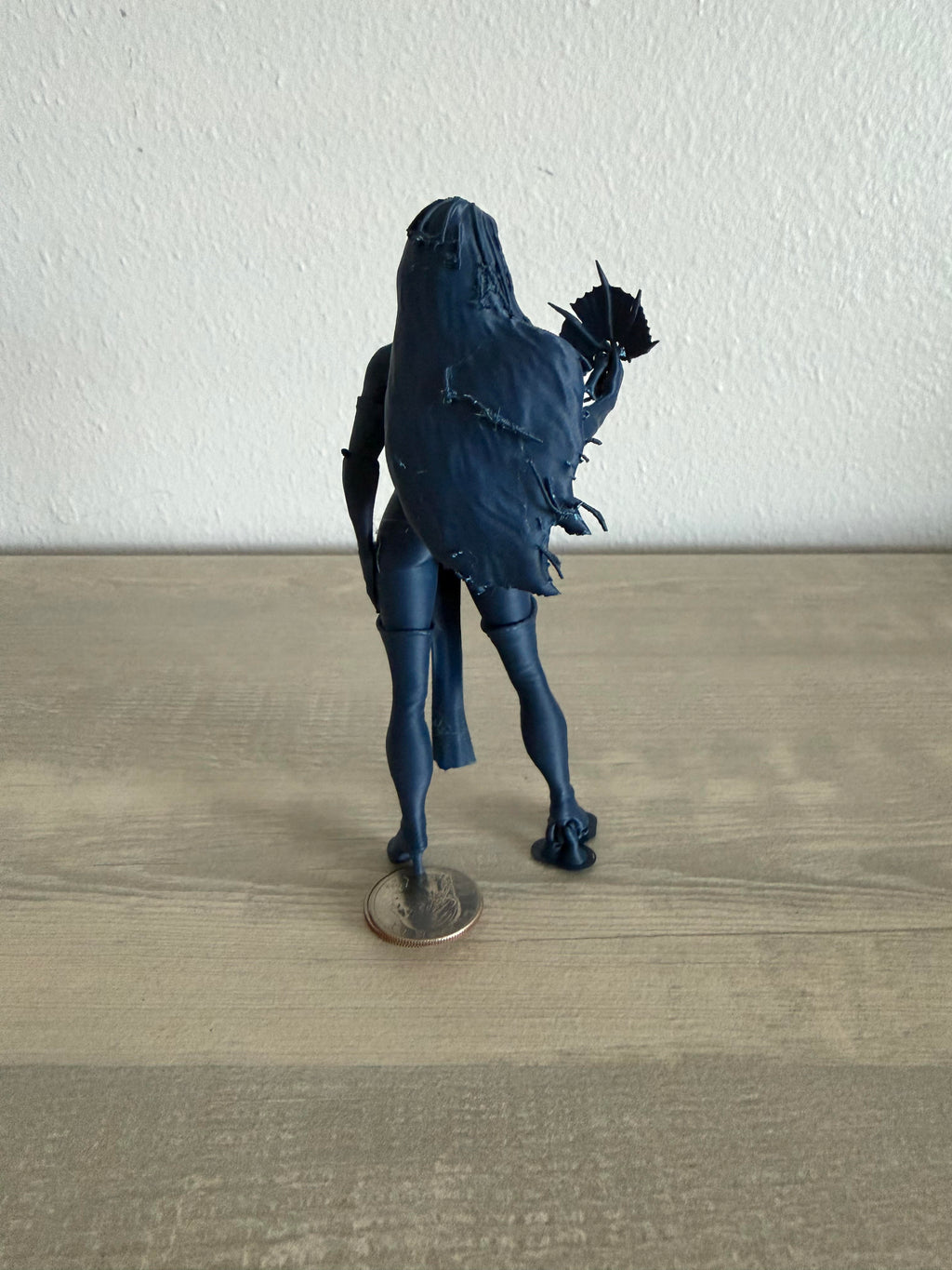 Blue Ninja Lady