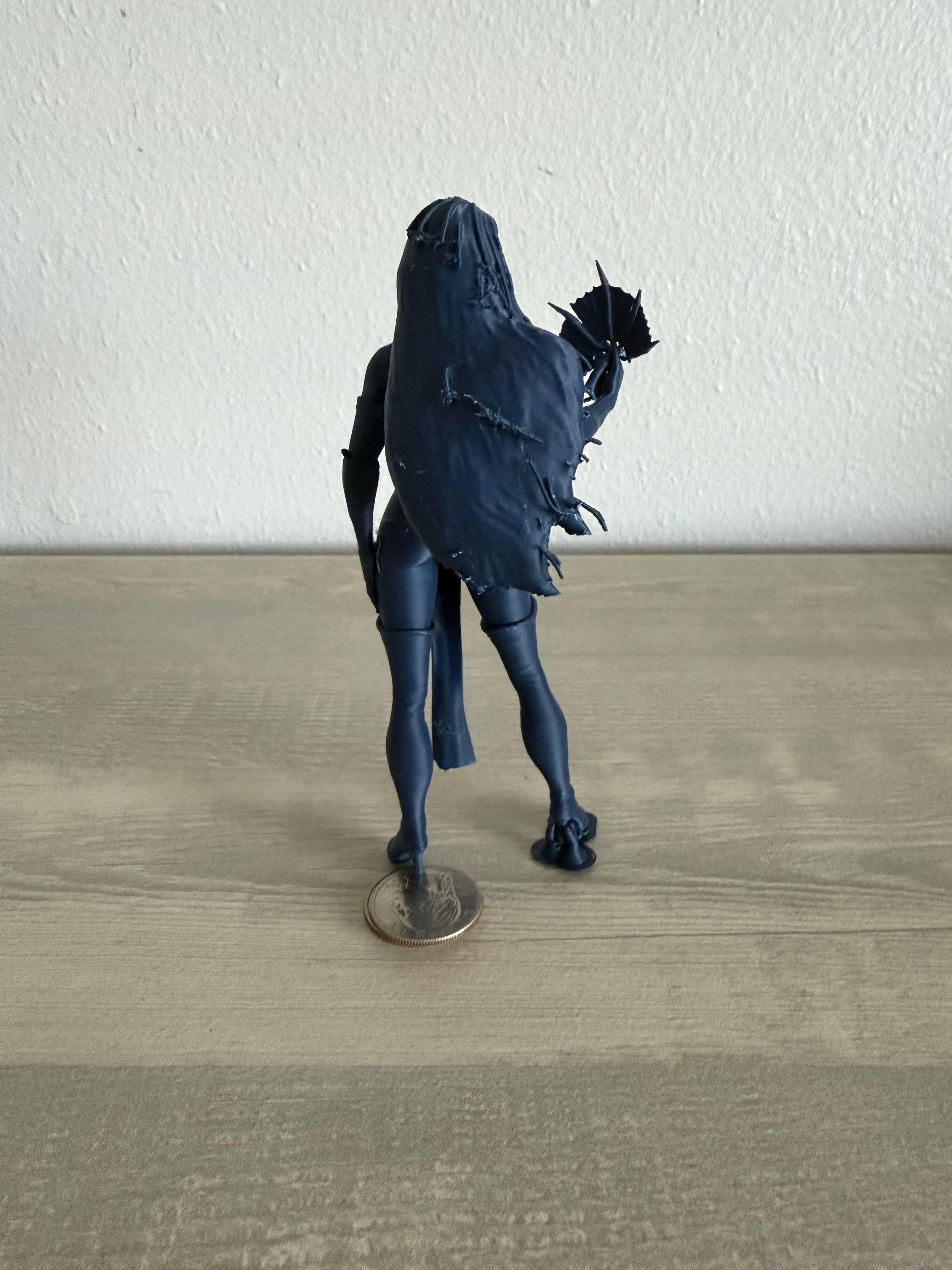 Blue Ninja Lady