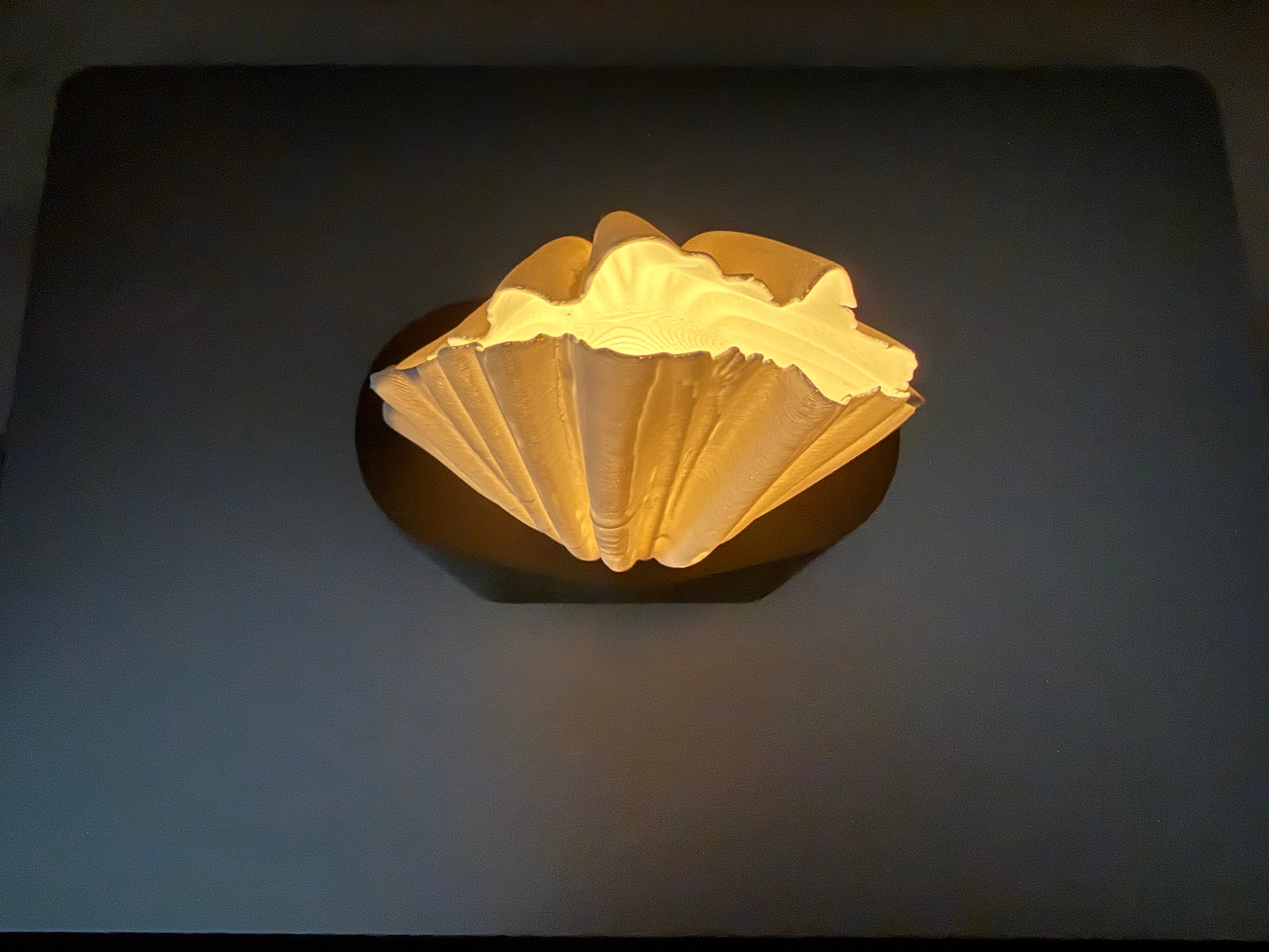 Fan Shell LED Lamp — Soft Warm Ambient Light