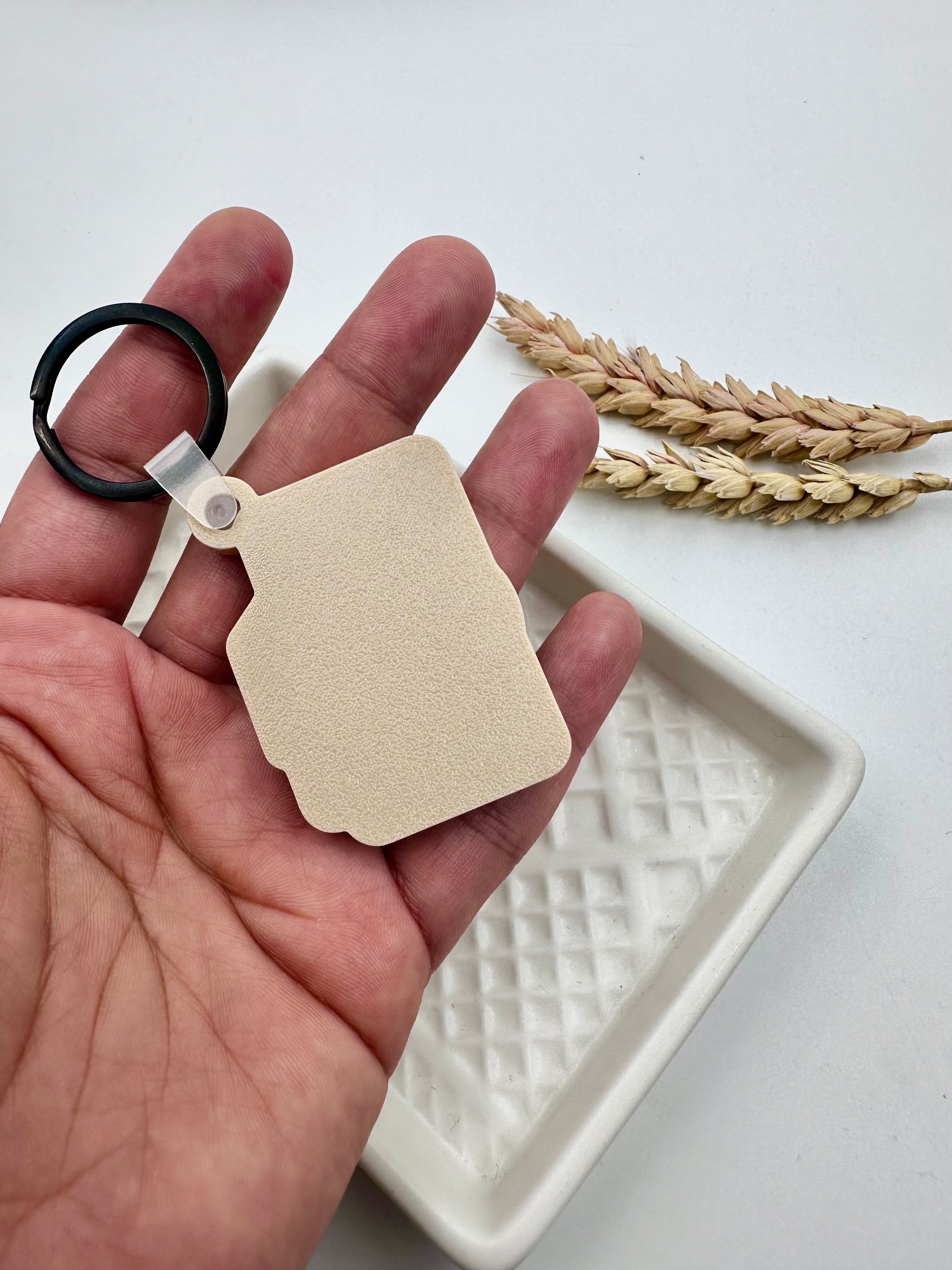 NFC camera keychain