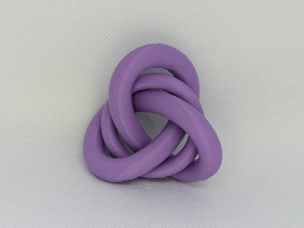Trefoil Knot with Torus