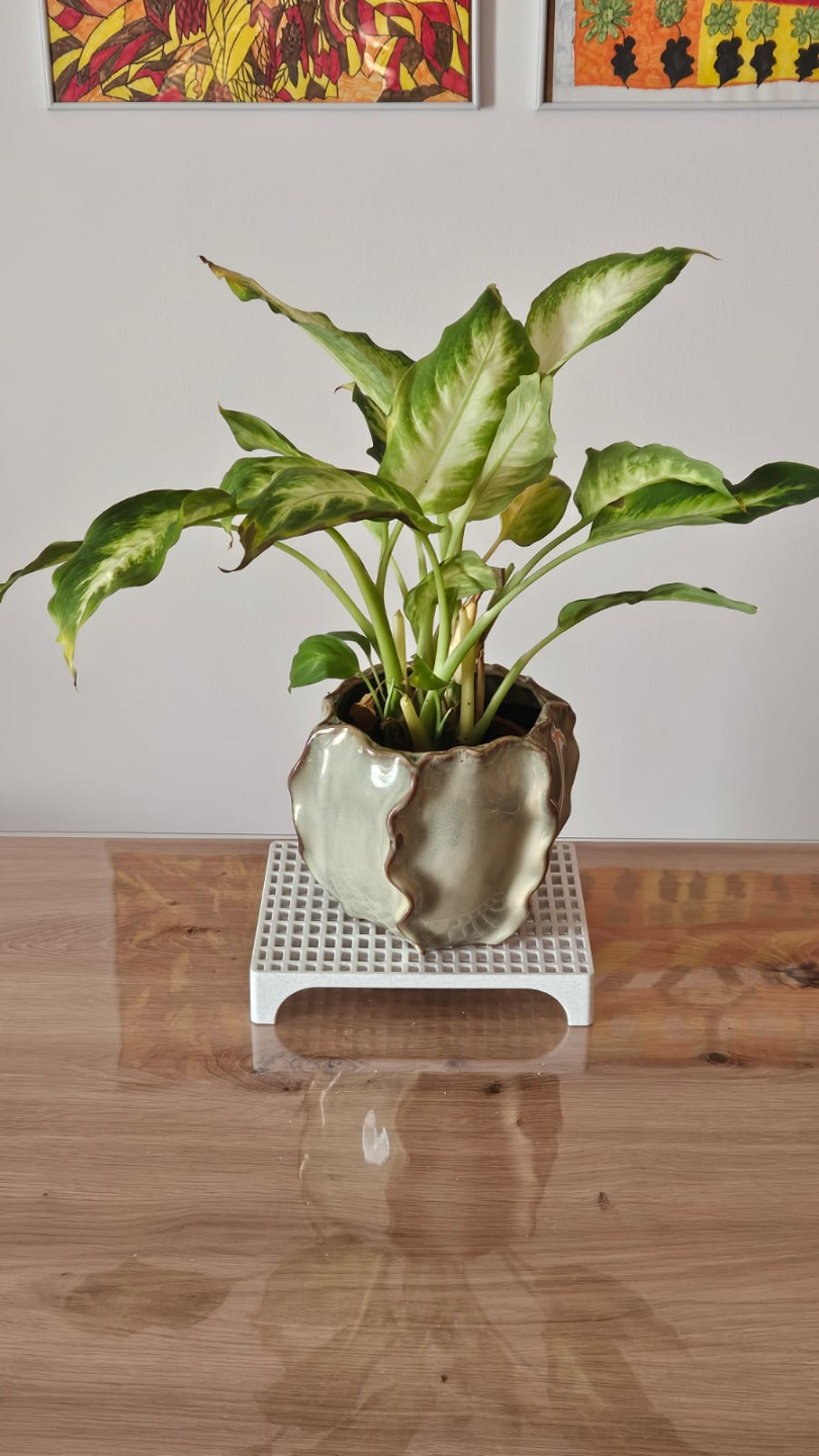 Lattice holder for soap or plants