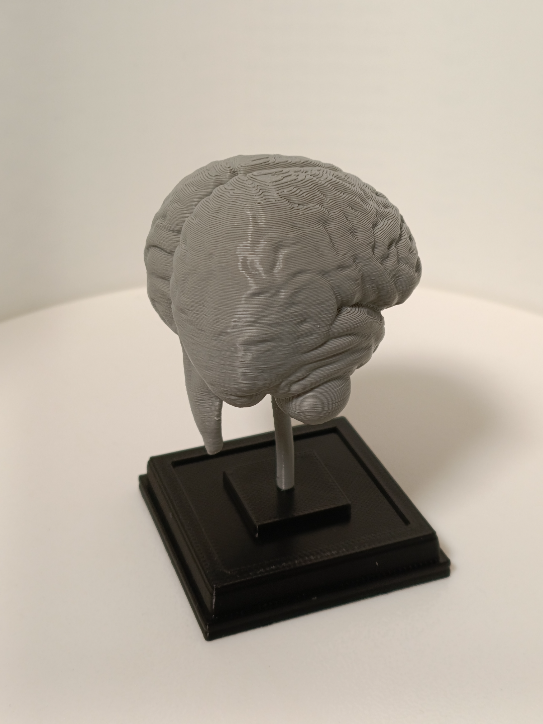 Brain on a stand