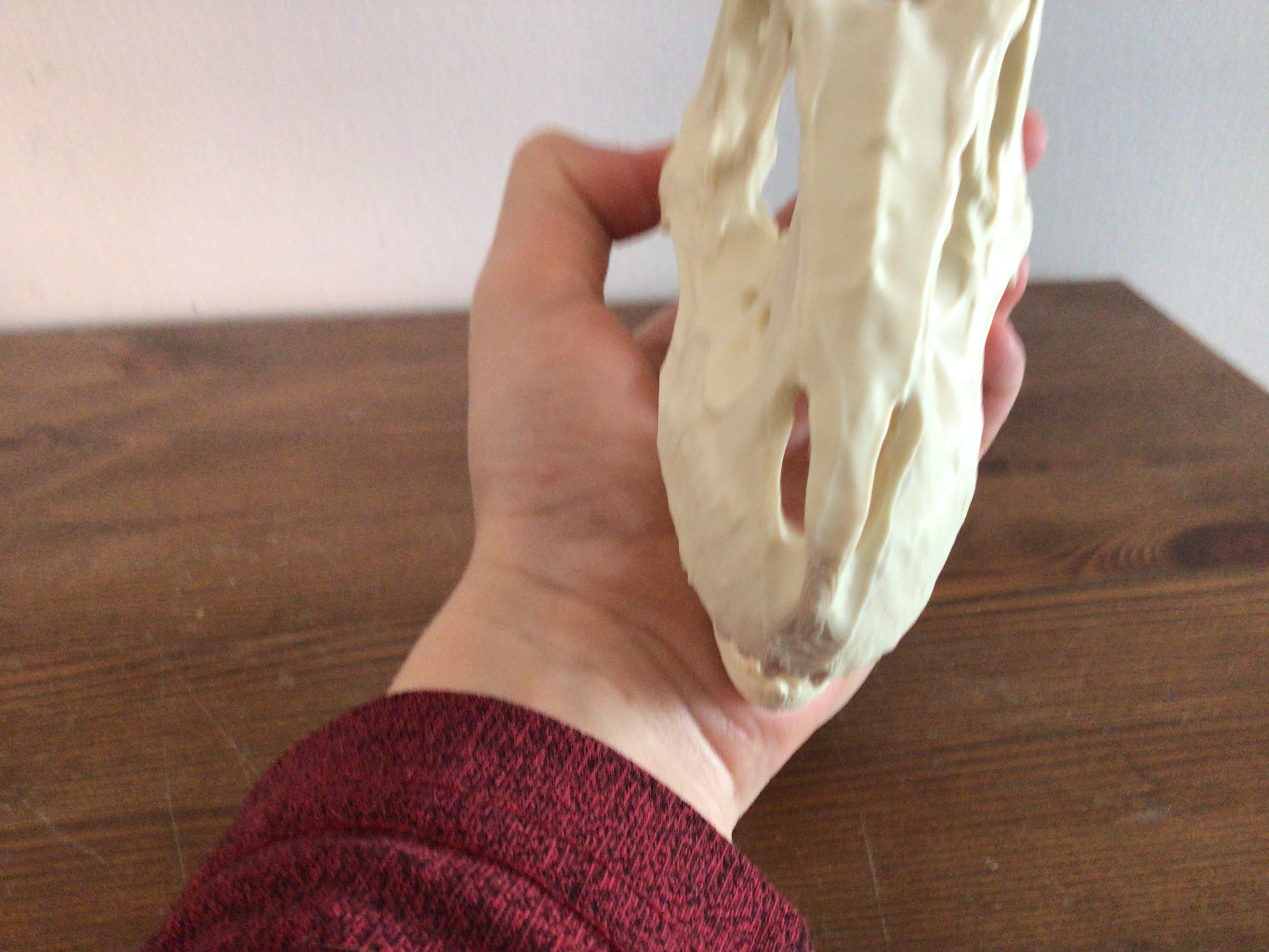 Albertasaurus skull