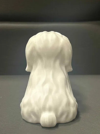 Maltese Holding Heart (Free Commercial Use)