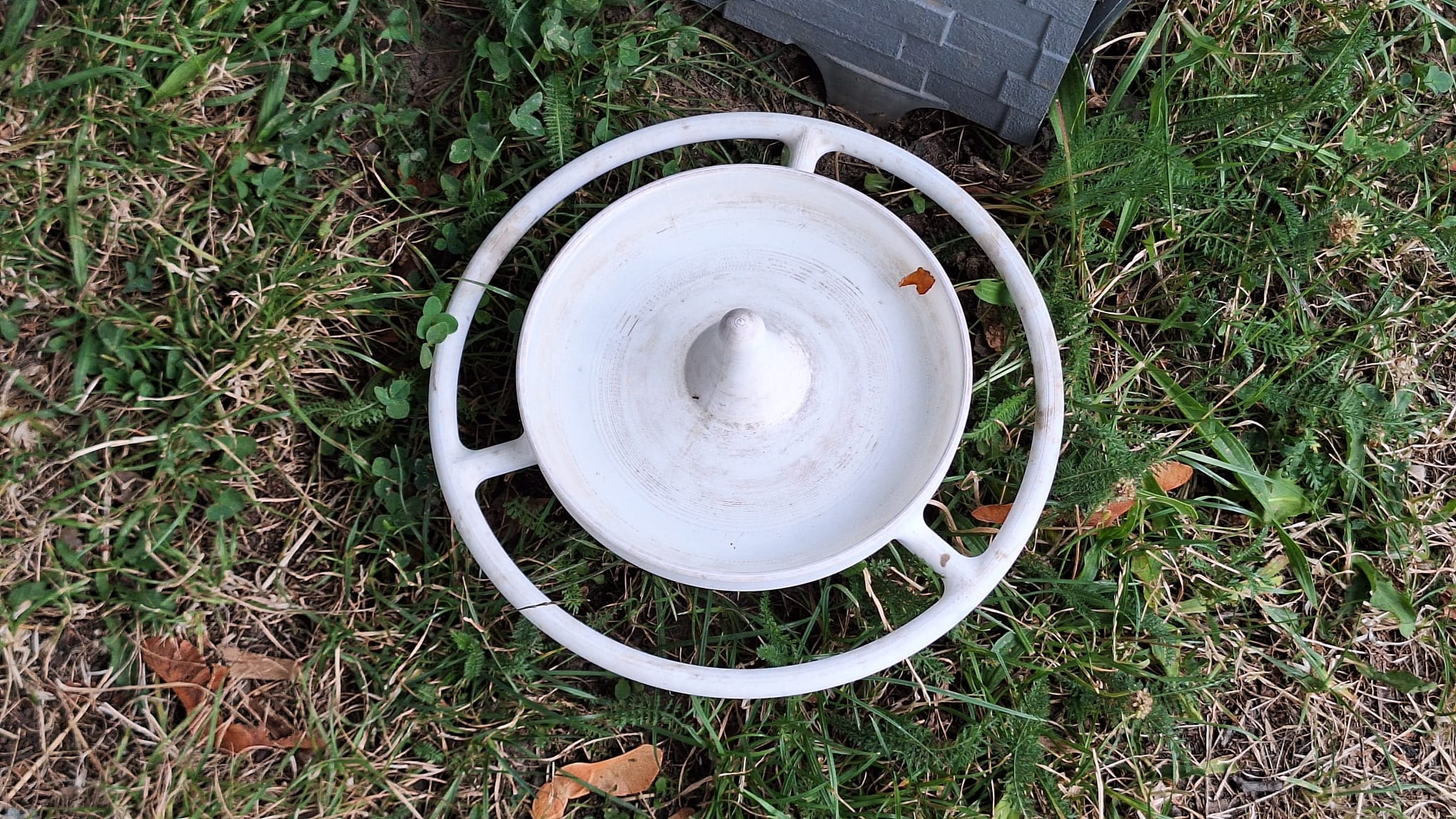 Simple Bird Water Bowl for Your Garden