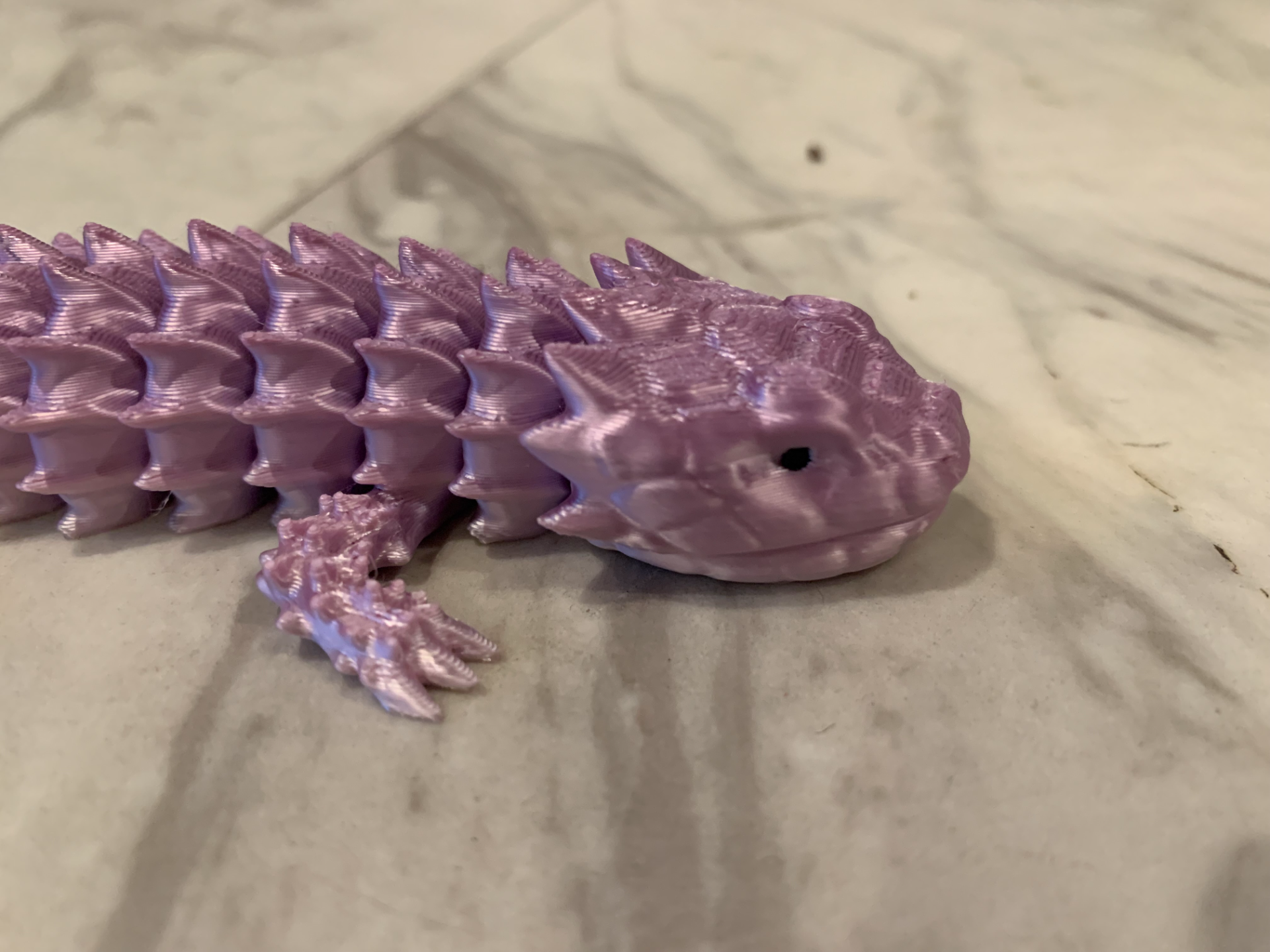 small tail armadillo lizard