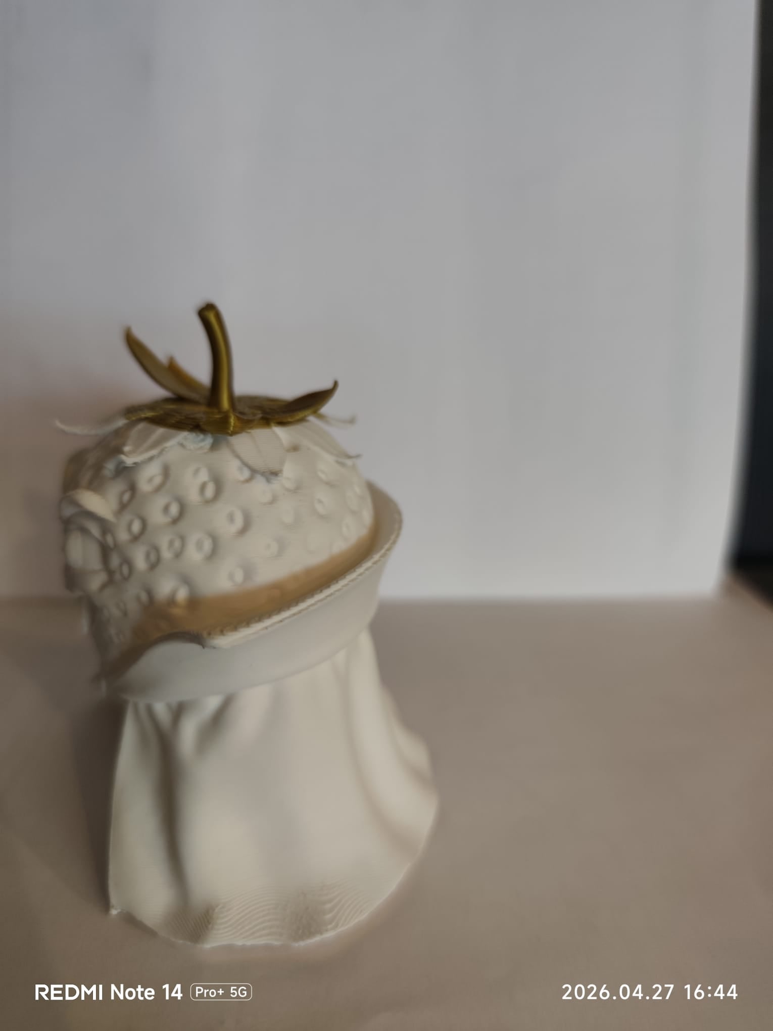 truskawka strawberry