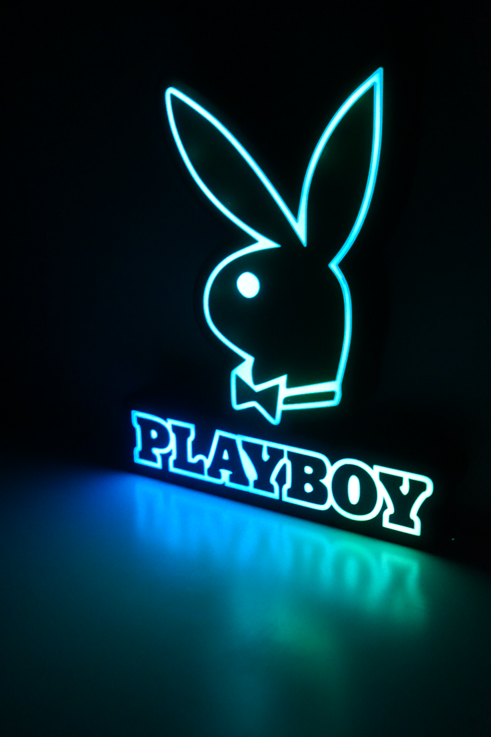 Playboy Logo