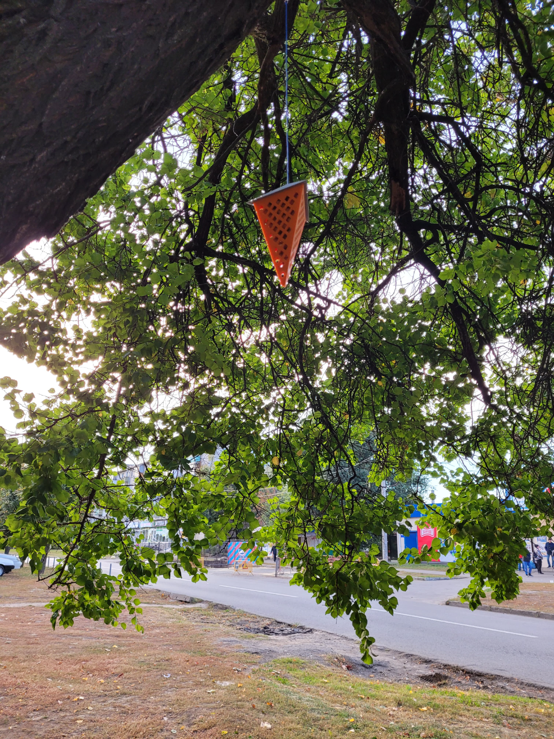 bird_feeder