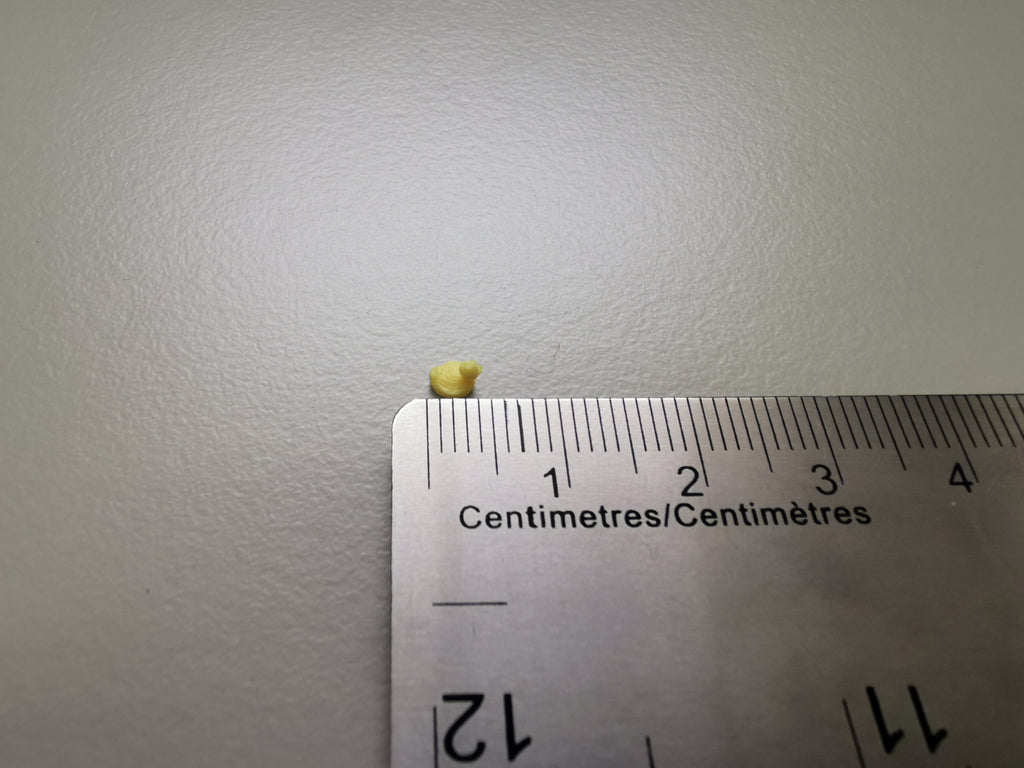 Tiny Duck